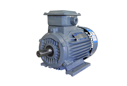 YX3系列超高效三相異步電動機(停產(chǎn)) YX3系列超高效三相異步電動機(停產(chǎn))